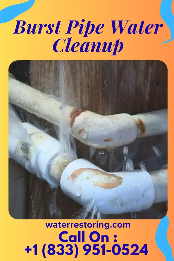 Burst Pipe Water Cleanup in Middle Point, OH