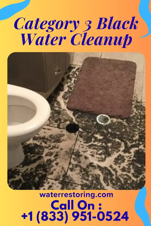 Category 3 Black Water Cleanup in Middle Point, OH