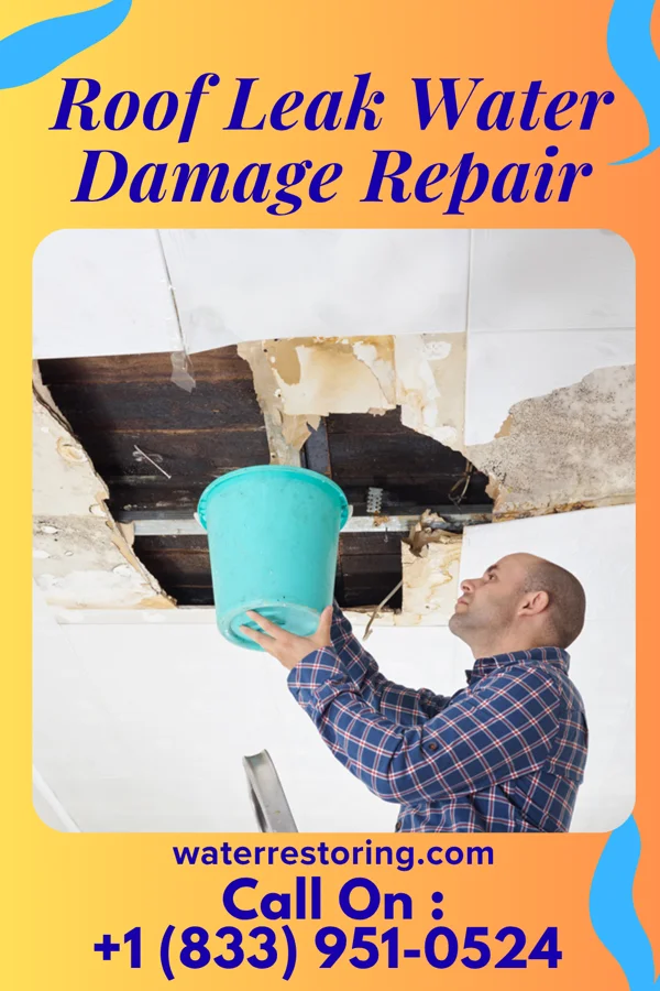 Roof Leak Water Damage Repair in Middle Point, OH