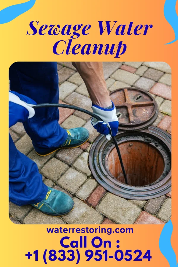 Sewage Water Cleanup in Middle Point, OH