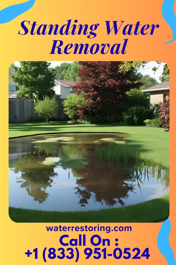 Standing Water Removal in Middle Point, OH